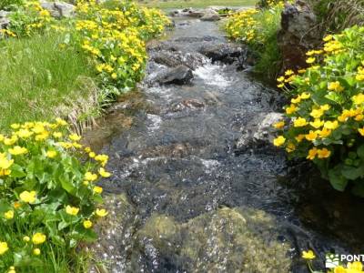 País de los Pirineos- Andorra; cañon rio ebro lagos enol y ercina excursiones en autocar cañon del r